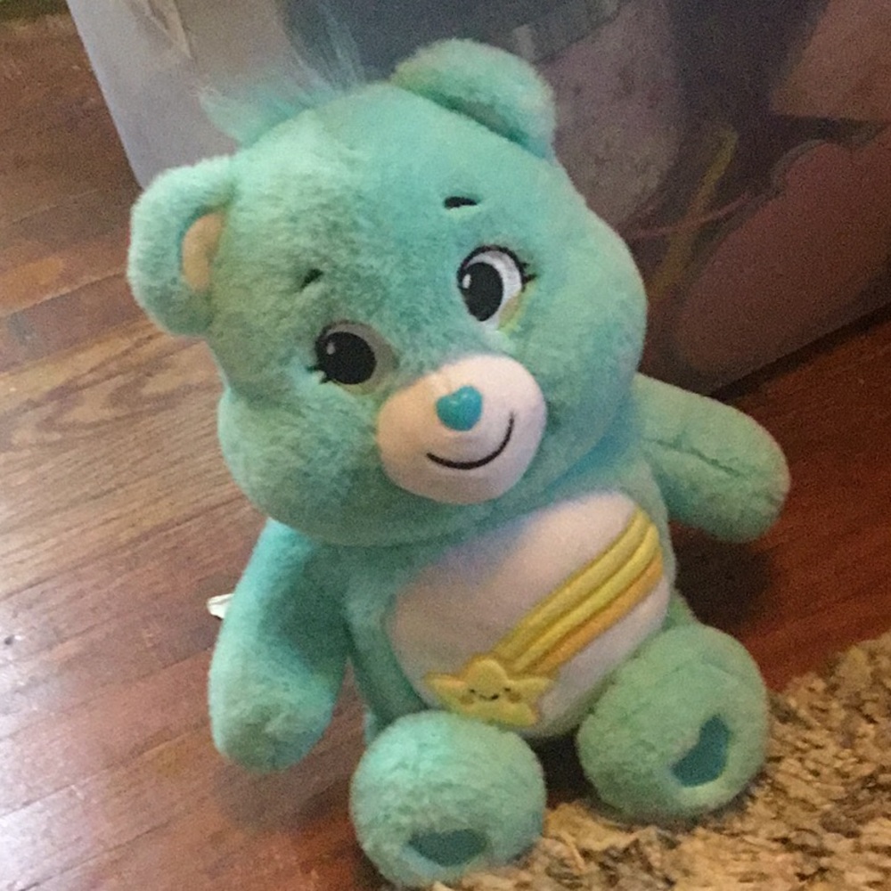 Care Bears Wish Bear Plush